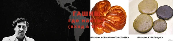 молекула духа Каменногорск