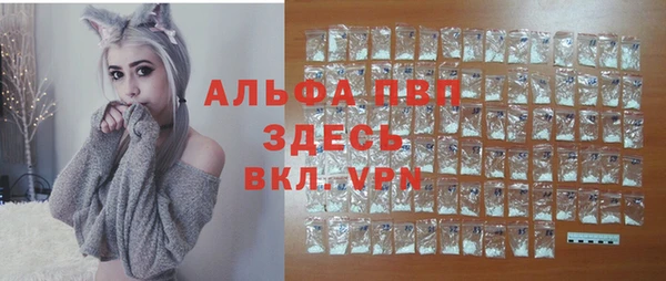 твердый Карпинск