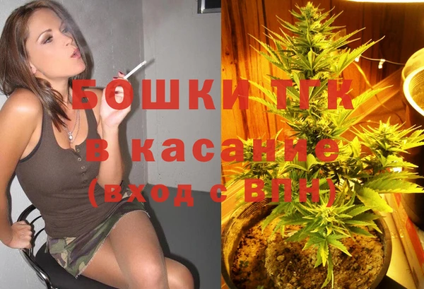 PSILOCYBIN Карталы