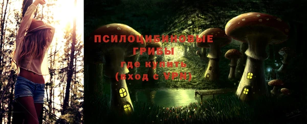 PSILOCYBIN Карталы