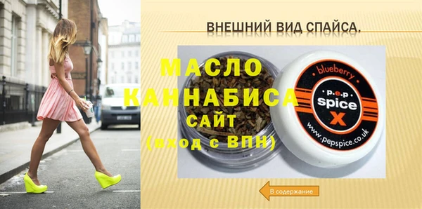 молекула духа Каменногорск