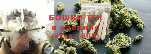 твердый Карпинск