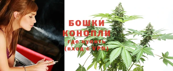шишки Каменка