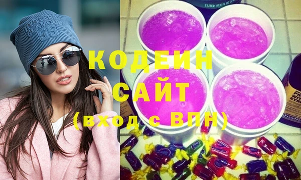 шишки Каменка