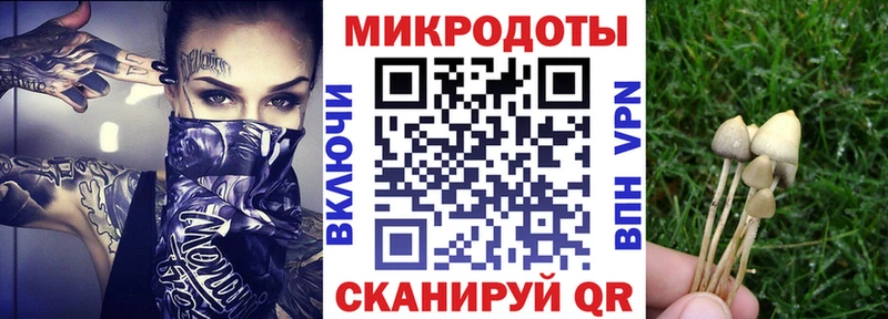 Купить где  Суоярви  Галлюциногенные грибы мицелий 